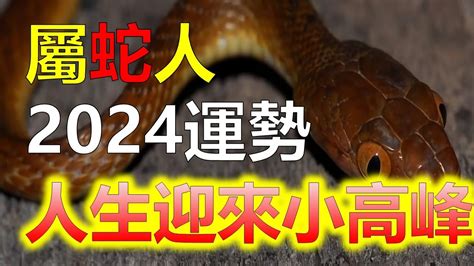 數蛇|2024屬蛇幾歲、2024屬蛇運勢、幸運色、財位、禁忌